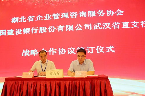 湖北省企業(yè)管理咨詢服務(wù)協(xié)會(huì)換屆,程鵬當(dāng)選為會(huì)長